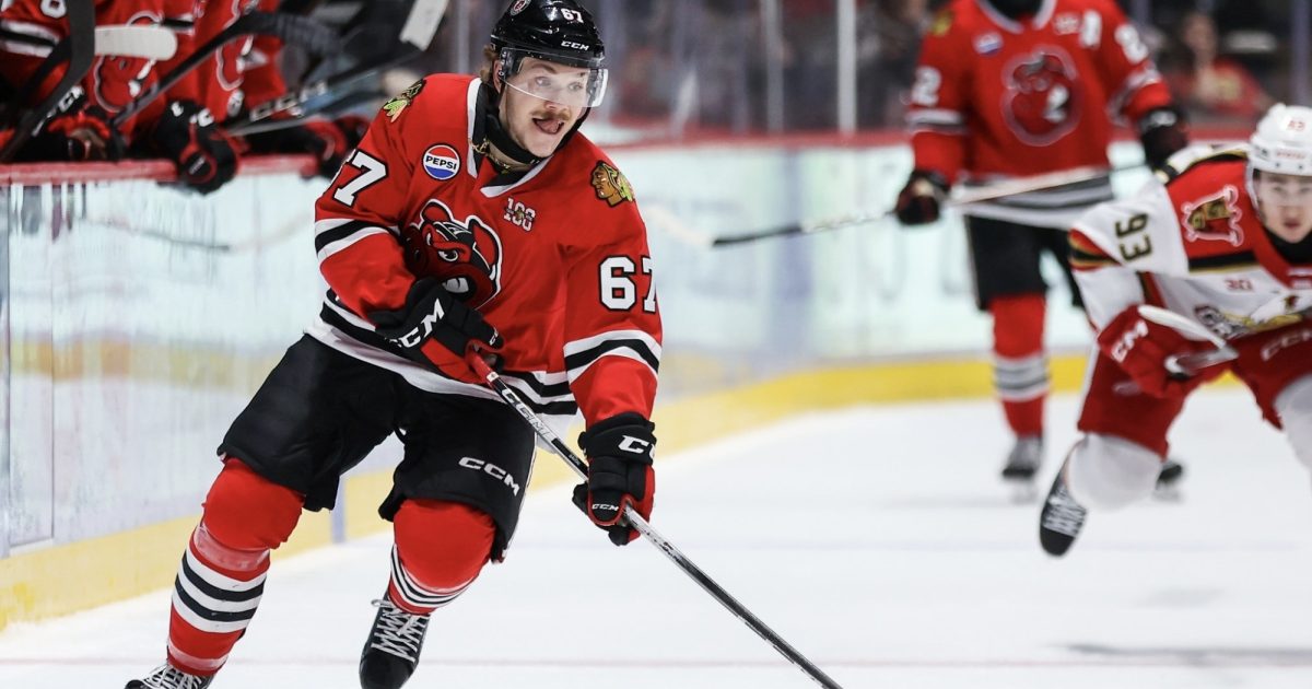 Rockford IceHogs | IceHogs Announce 2026-27 Opening Night Roster and…