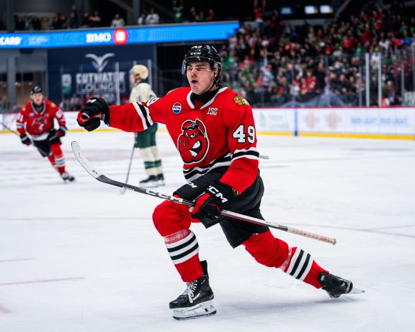 55150231750 0bf7b749fa o