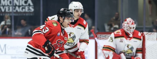 55159347054 704b37a866 k