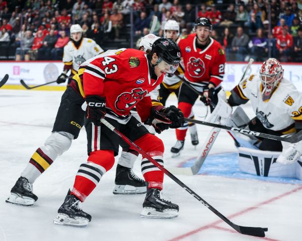 55146184351 604ab79b0a o