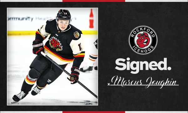 2627 Signed Marcus Joughin 1200x720 1