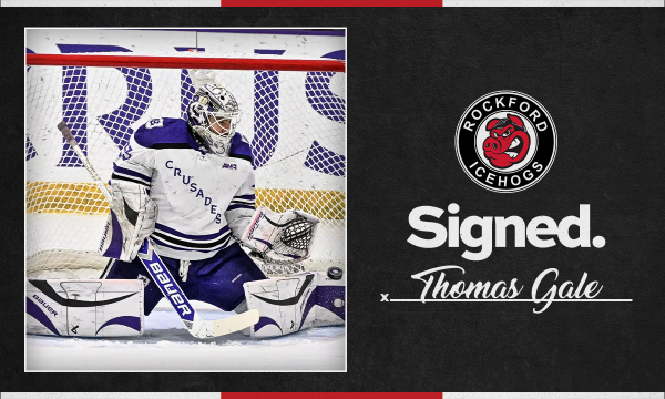 2627 Signed Thomas Gale 1200x720
