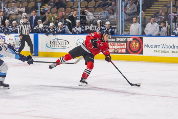 54956387633 636b4db2e3 o copy