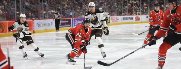 55024251600 e302b56376 k