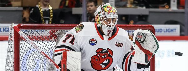 55034422636 7814179f71 k