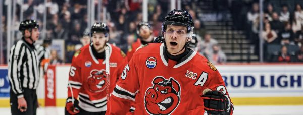 55045446009 857c336641 k