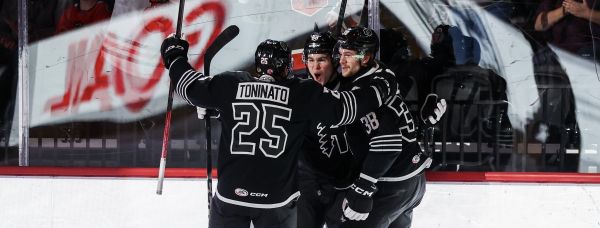 55048524331 a949a9354b k