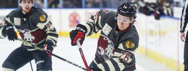 55083996784 98ed901446 k