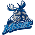 Manitoba Moose