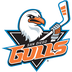San Diego Gulls